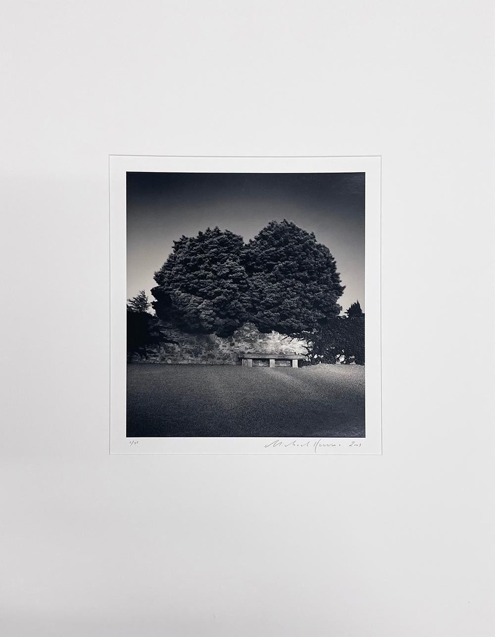 Banc et arbres, Les Baux-de-Provence, France - Photograph de Michael Kenna