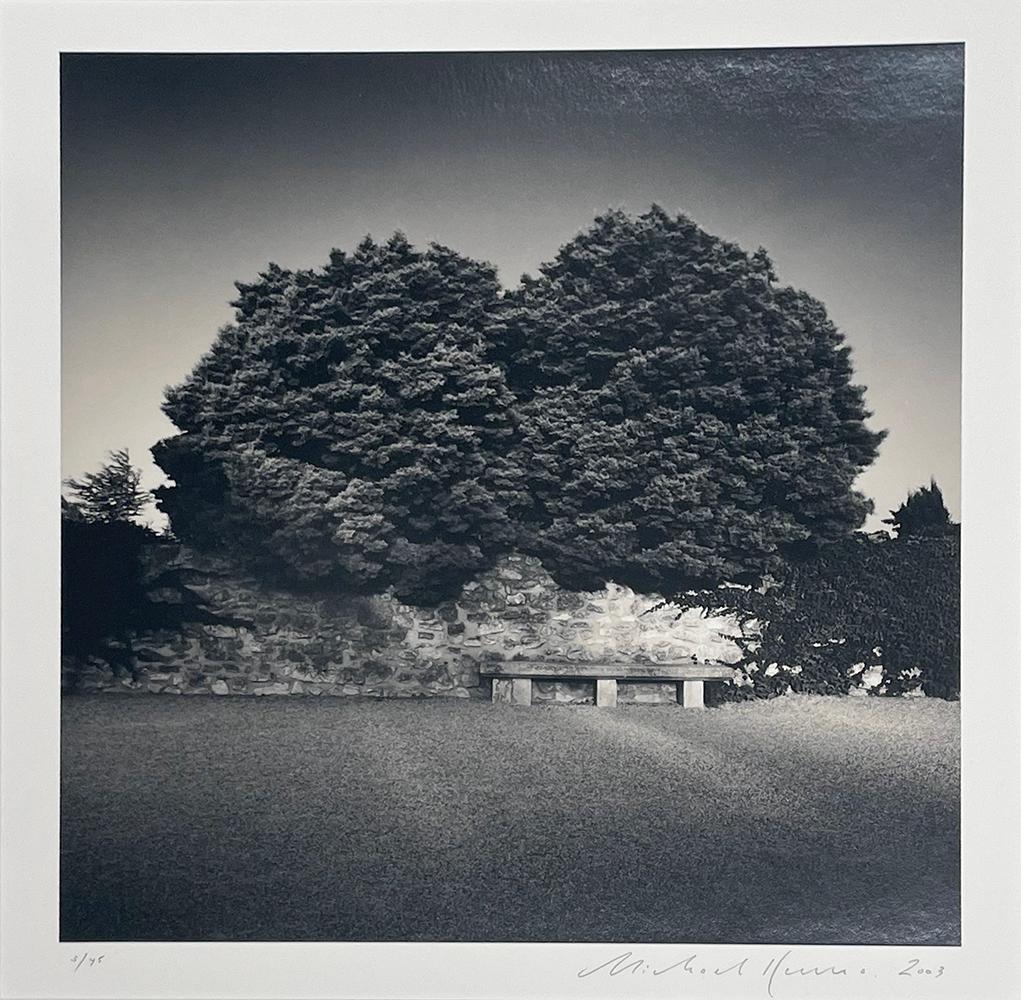 Banc et arbres, Les Baux-de-Provence, France - Contemporain Photograph par Michael Kenna