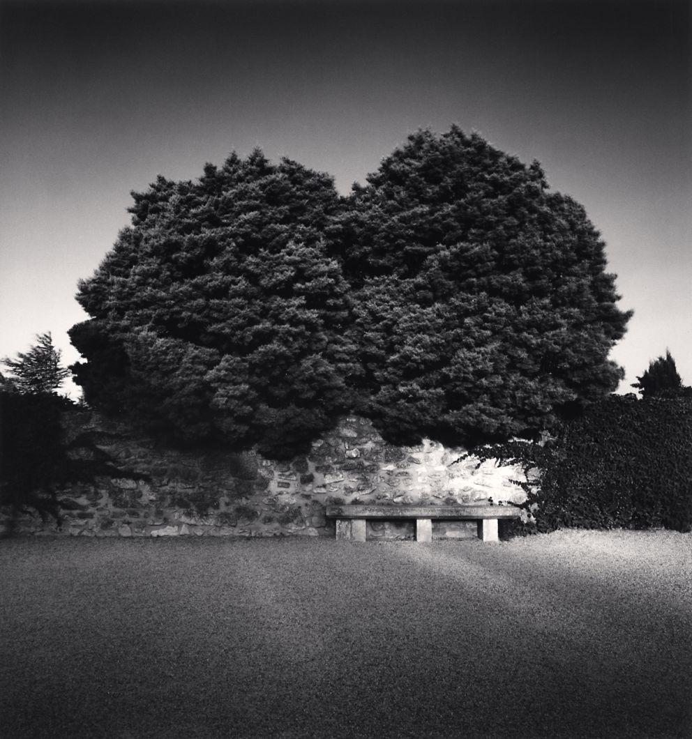 Michael Kenna Landscape Photograph – Bench und Bäume, Les Baux-de-Provence, Frankreich
