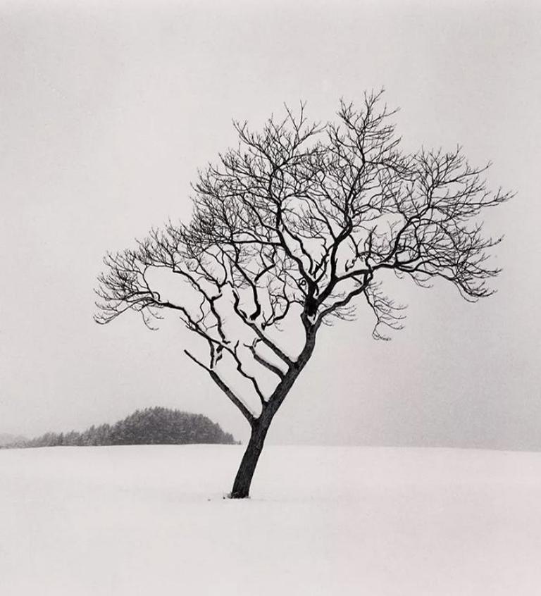 Michael Kenna Landscape Photograph - Blackstone Hill Tree, Hokkaido, Japan