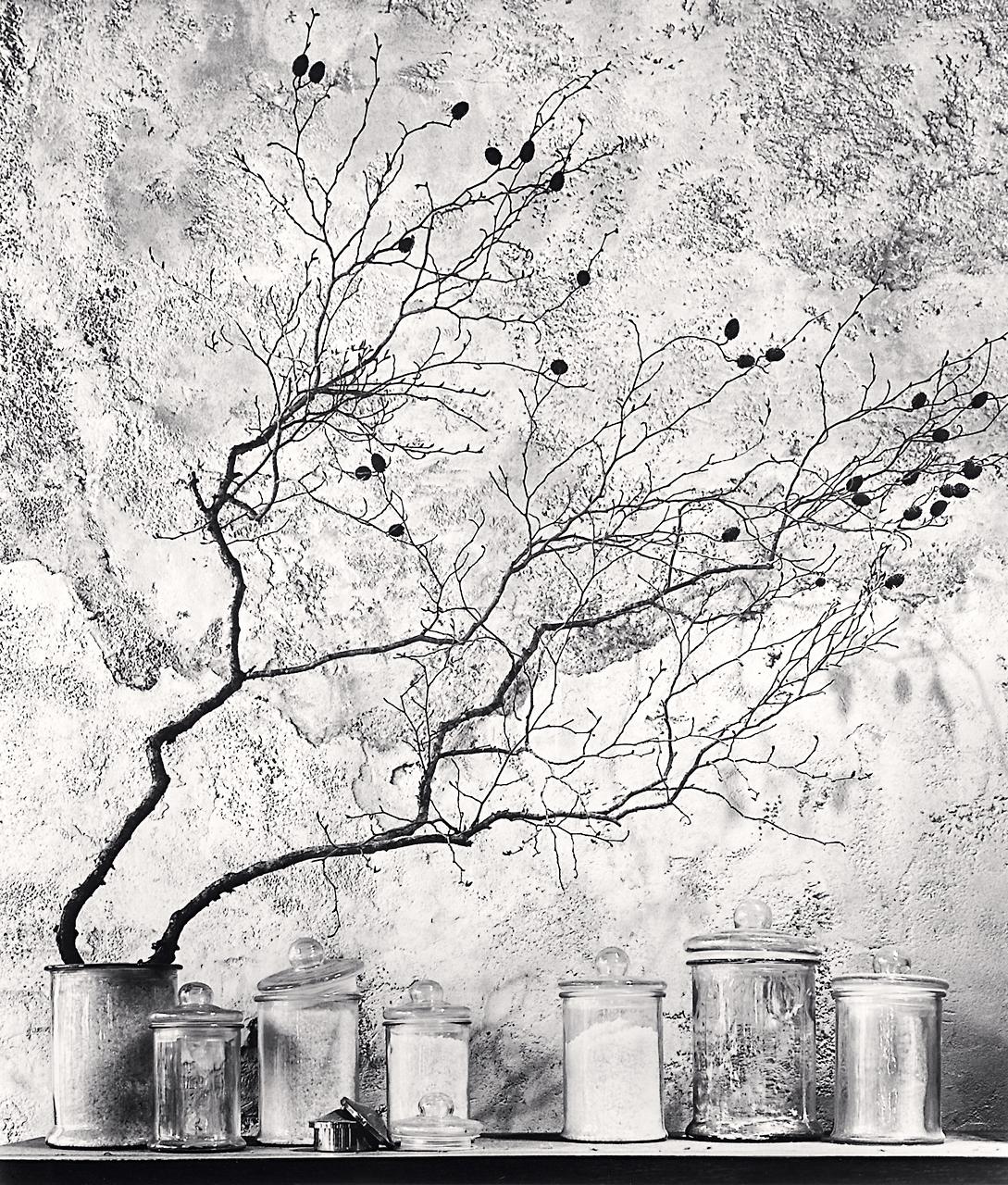 Michael Kenna Landscape Photograph - Branch and Berries Tokyo Honshu Japan, limited edition photograph 