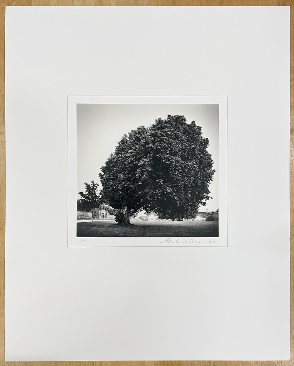 Chateau Lafite Rothschild, Study 12, Bordeaux, France by Michael Kenna, 2012 For Sale 1