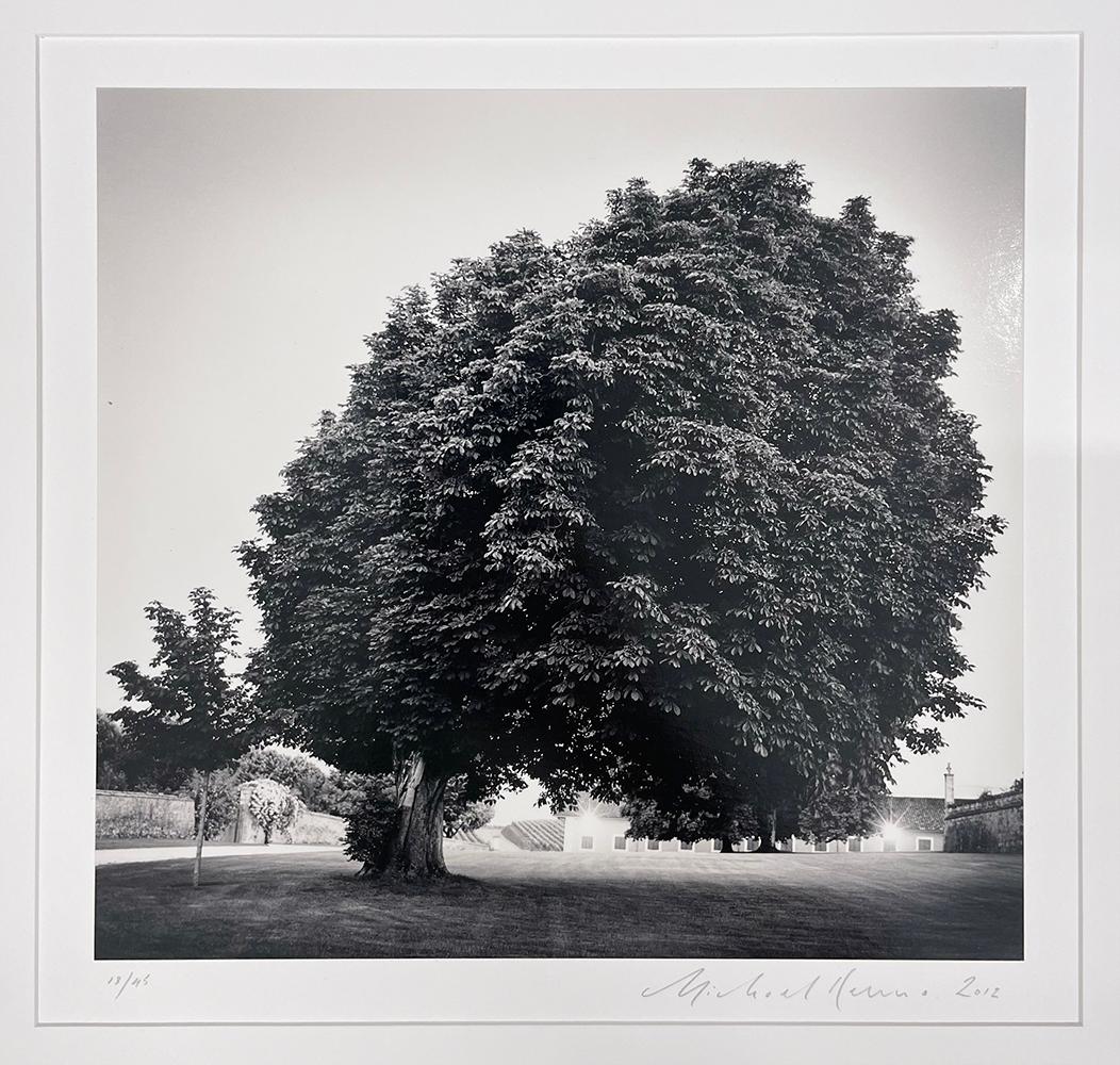 Chateau Lafite Rothschild, Study 12, Bordeaux, France by Michael Kenna, 2012 For Sale 2