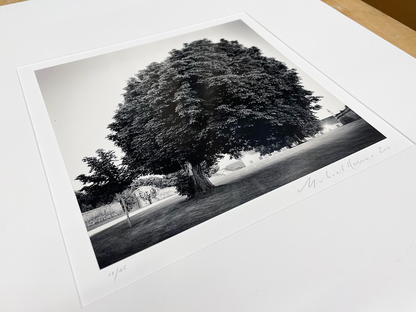 Chateau Lafite Rothschild, Study 12, Bordeaux, France by Michael Kenna, 2012 For Sale 4