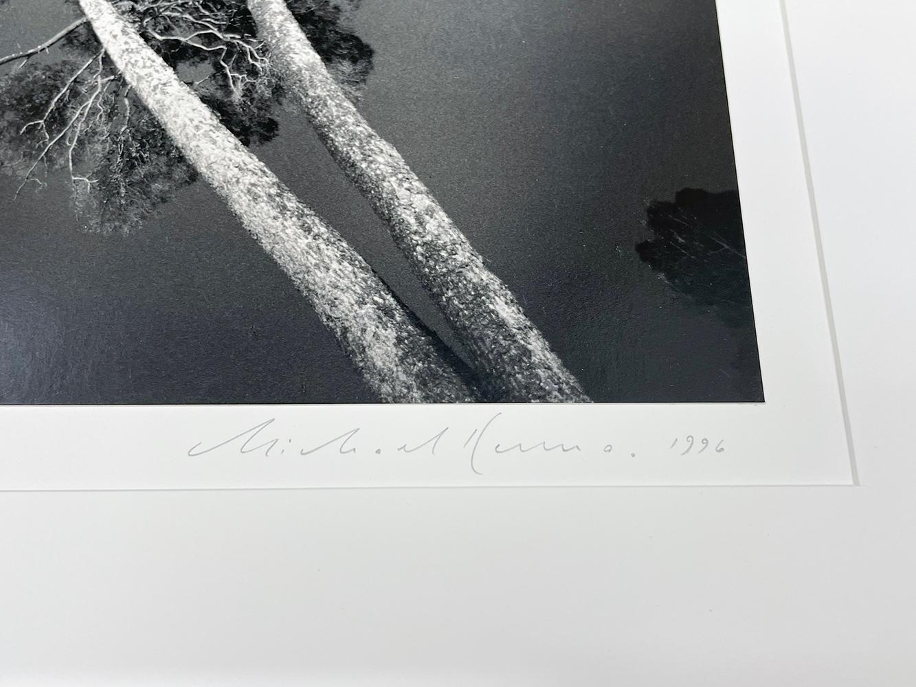 Chateau Valrose, Study 4, Nice, Alpes-Maritimes, France by Michael Kenna, 1996 For Sale 2