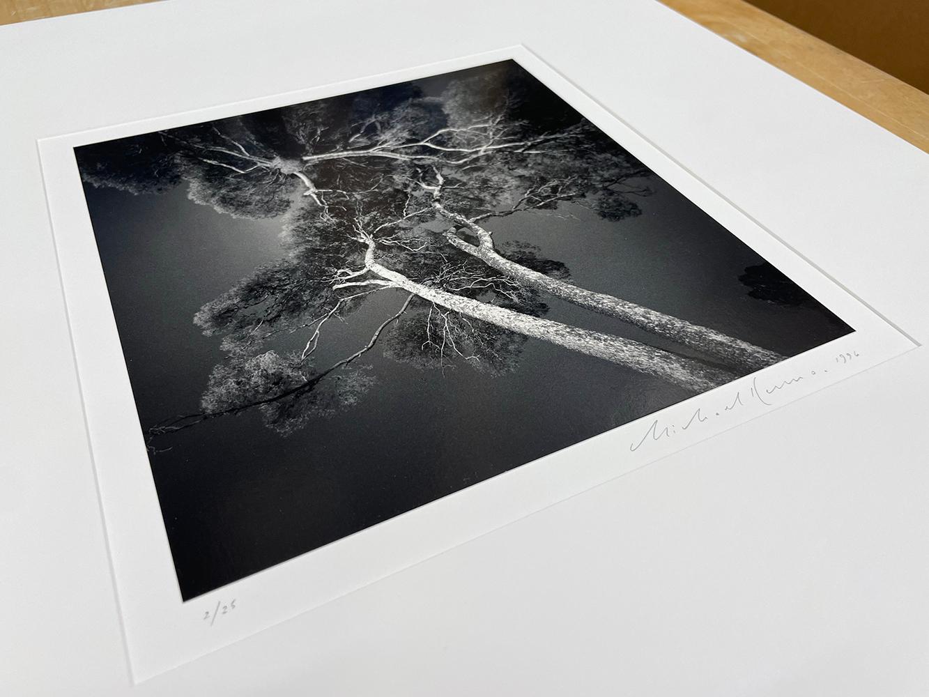Chateau Valrose, Study 4, Nice, Alpes-Maritimes, France by Michael Kenna, 1996 For Sale 3
