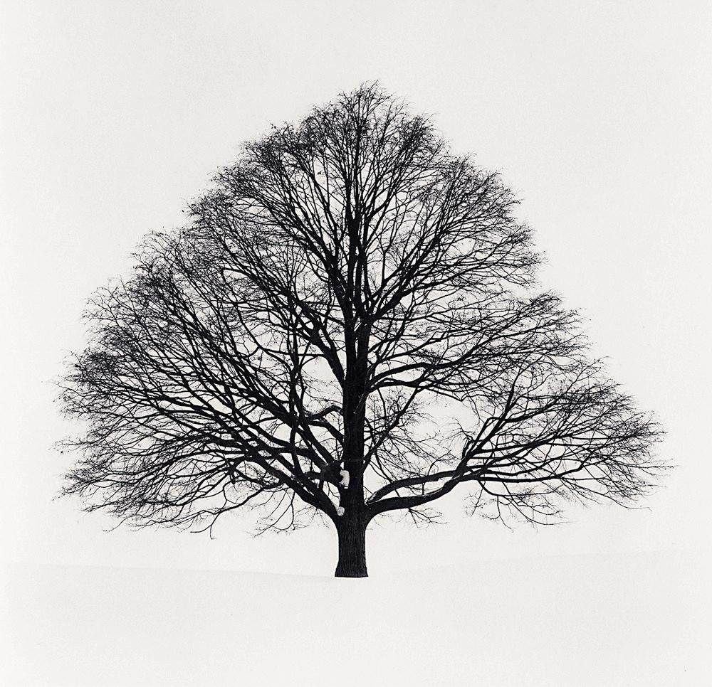Cikisani Kamuy, Study 1, Sorachi, Hokkaido, Japan by Michael Kenna is a 8 x 8 inch* silver gelatin print, available in an edition of 25.
*Please note: the measurements of this print are approximated
This photograph is signed, titled, negative date,