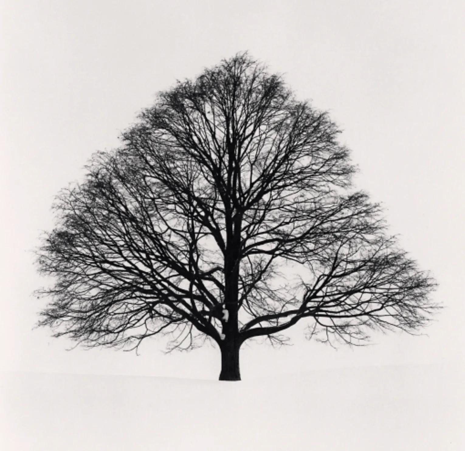 Michael Kenna Black and White Photograph - Cikisani Kamuy, Study 1, Sorachi, Hokkaido, Japan