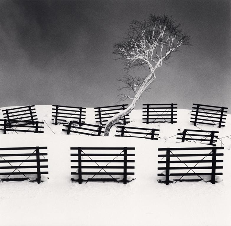 Dakekanba et les barrières de neige, Hokkaido, Japon par Michael Kenna présente une scène sublime. Les barrières de neige foncées contrastent avec la couverture de neige d'un blanc immaculé. Un seul arbre se dresse au milieu du paysage, ses branches