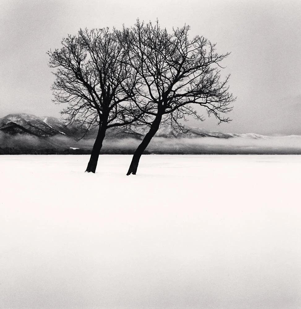 Michael Kenna Black and White Photograph - Dancing Trees, Kushiro Lake, Hokkaido, Japan