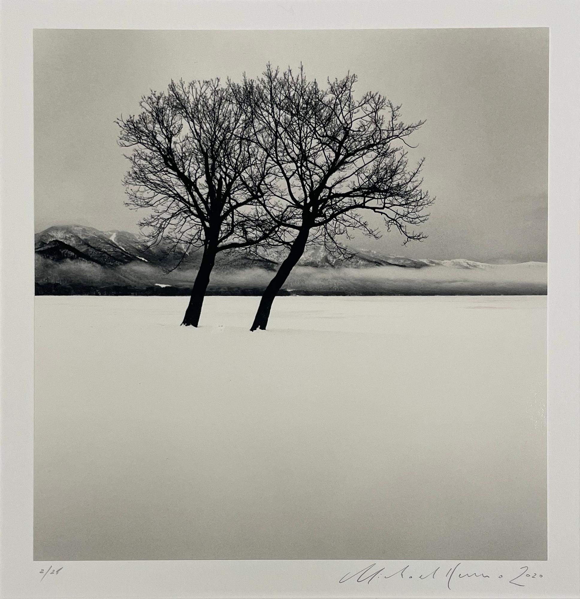 Des arbres dansant, lac de Kussharo, Hokkaido, Japon par Michael Kenna, 2020 en vente 2
