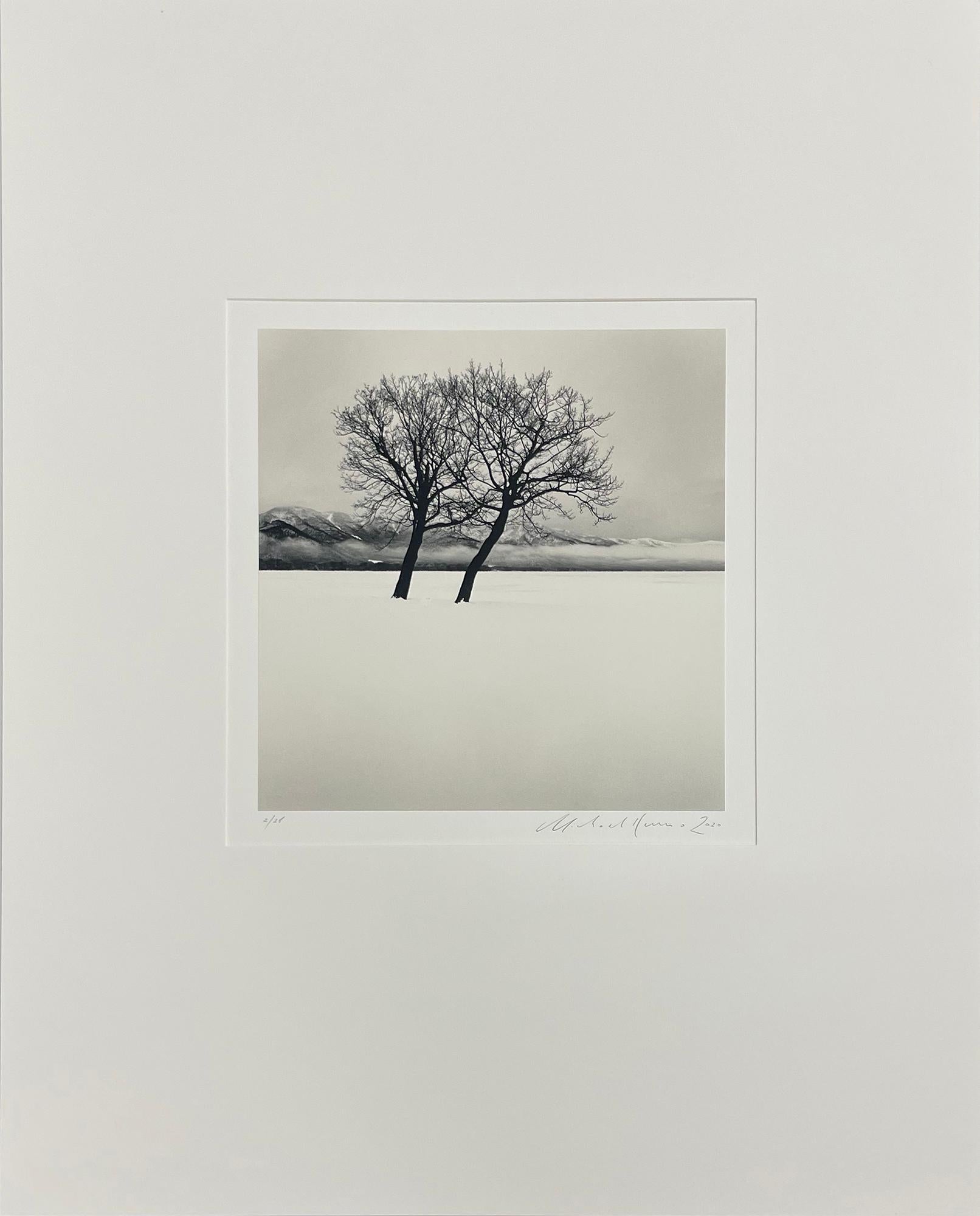 Des arbres dansant, lac de Kussharo, Hokkaido, Japon par Michael Kenna, 2020 en vente 3