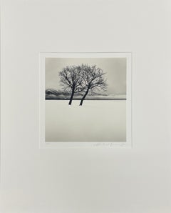 Dancing Trees, Kussharo Lake, Hokkaido, Japan - Black and White Photograph