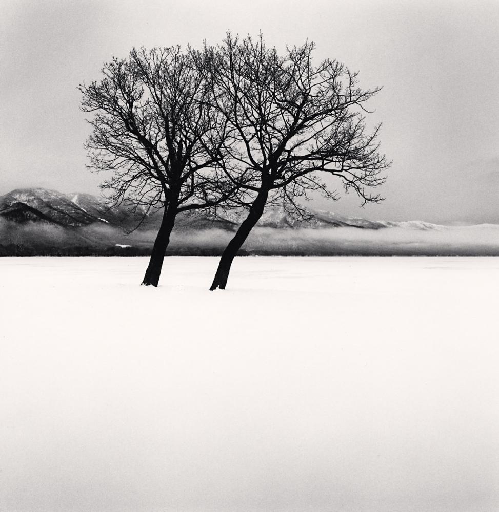 Michael Kenna Black and White Photograph - Dancing Trees, Kussharo Lake, Hokkaido, Japan 