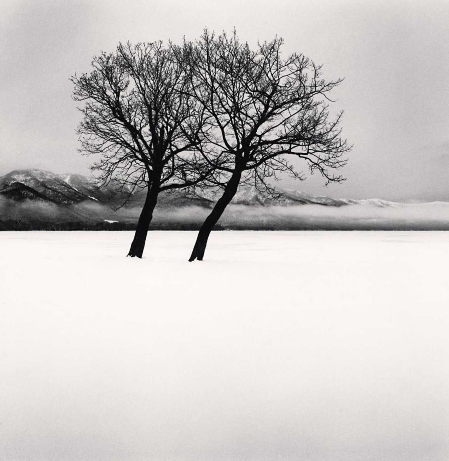 Dancing Trees, Kussharo Lake, Hokkaido, Japan de Michael Kenna présente une scène sublime. Deux arbres se dressent dans un paysage enneigé. Une chaîne de montagnes émerge de l'horizon à travers des nuages bas. Les arbres sombres et silhouettés