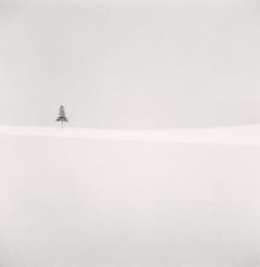 Albero delicato, Furano, Hokkaido, Giappone