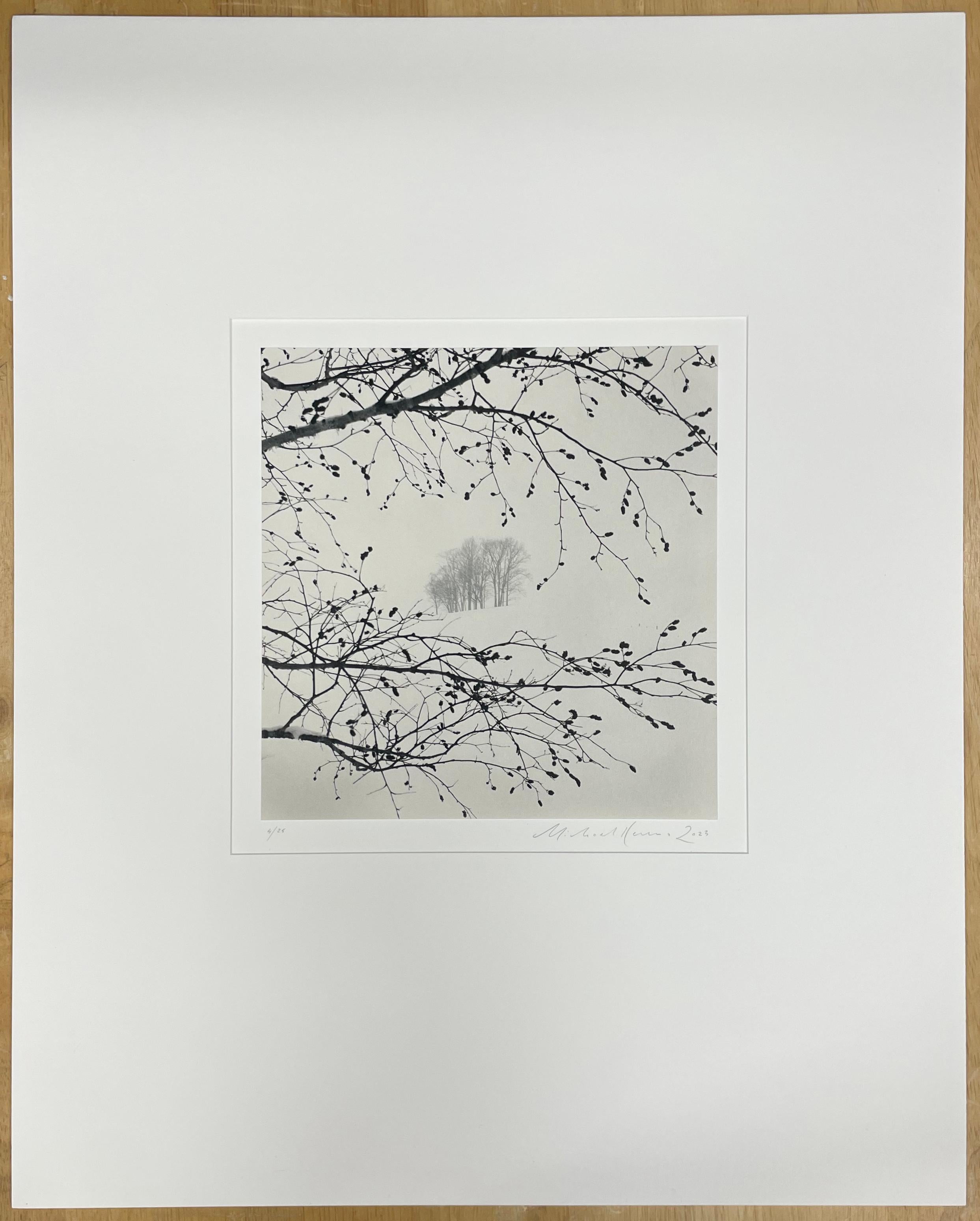 Distante Bäume, Sorachi, Hokkaido, Japan – Schwarz-Weiß-Fotografie, Landschaft – Photograph von Michael Kenna
