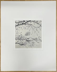 Distant Trees, Sorachi, Hokkaido, Japan - Black and White Photograph, Landscape