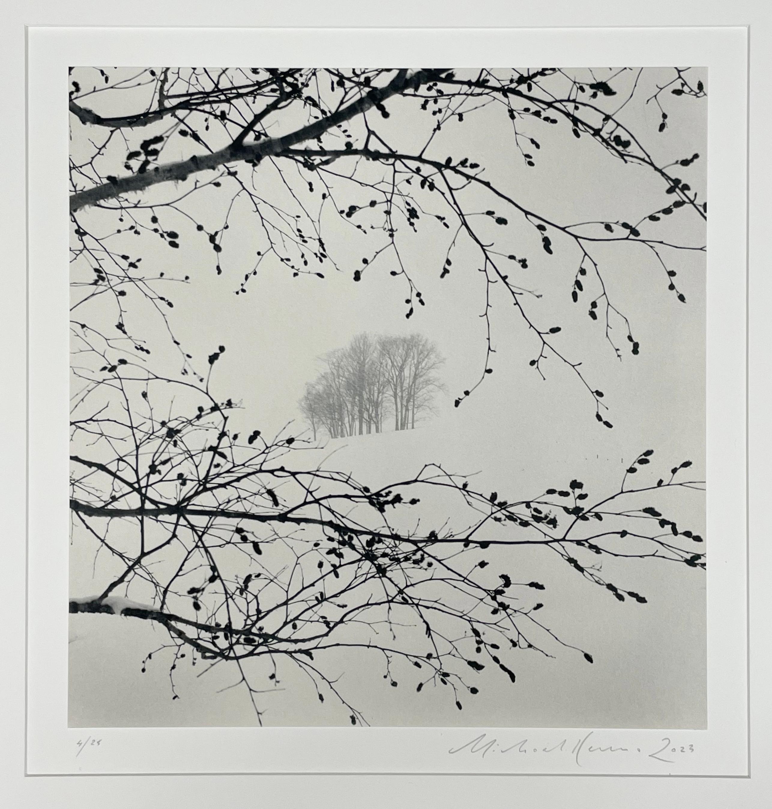 Distante Bäume, Sorachi, Hokkaido, Japan – Schwarz-Weiß-Fotografie, Landschaft (Zeitgenössisch), Photograph, von Michael Kenna