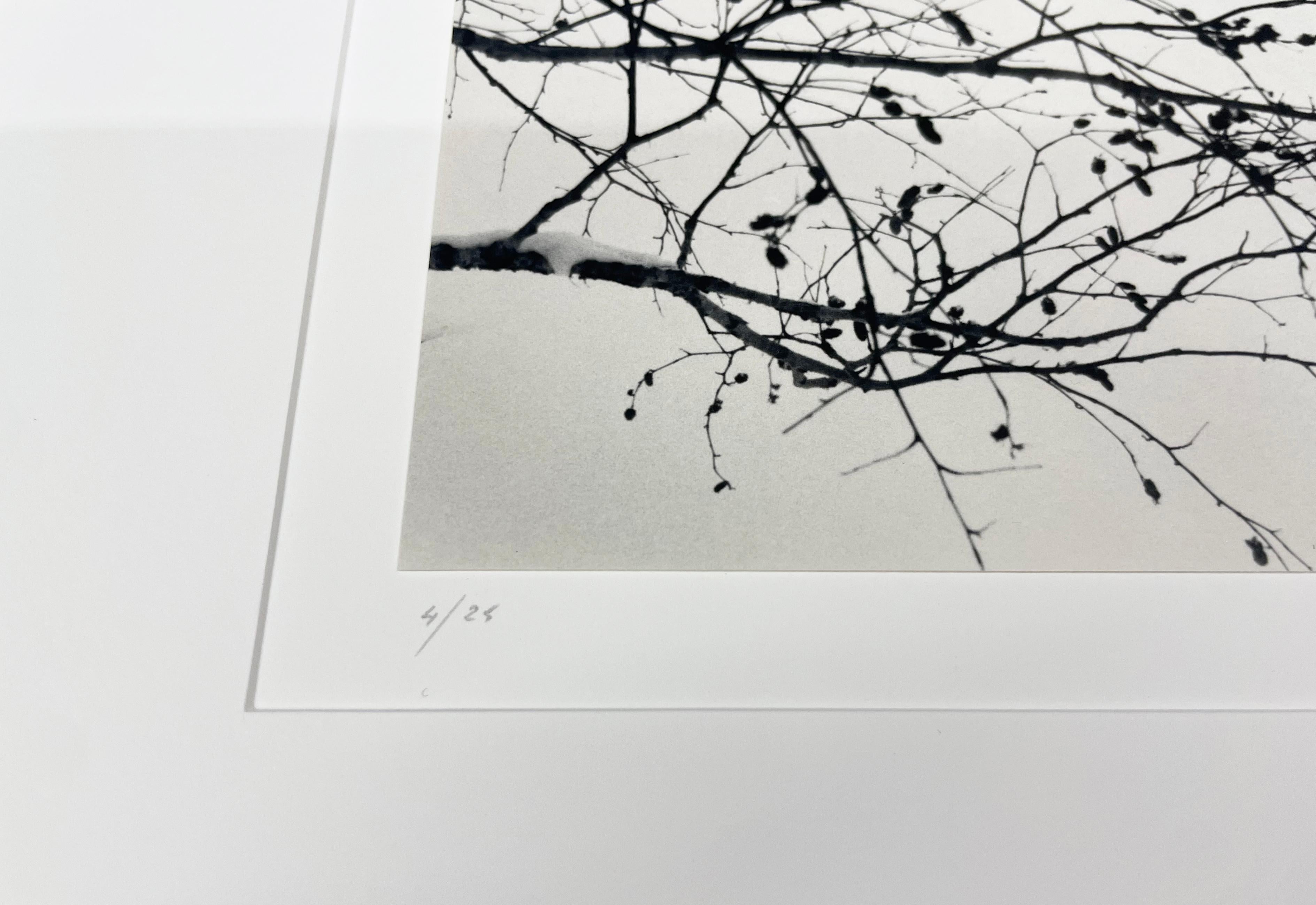 Distant Trees, Sorachi, Hokkaido, Japan von Michael Kenna ist ein 8 x 7,75 inch* großer Silbergelatineabzug, erhältlich in einer Auflage von 25 Stück.
*Bitte beachten Sie: Die Maße dieses Drucks sind ungefähre Angaben.
Diese Fotografie ist von