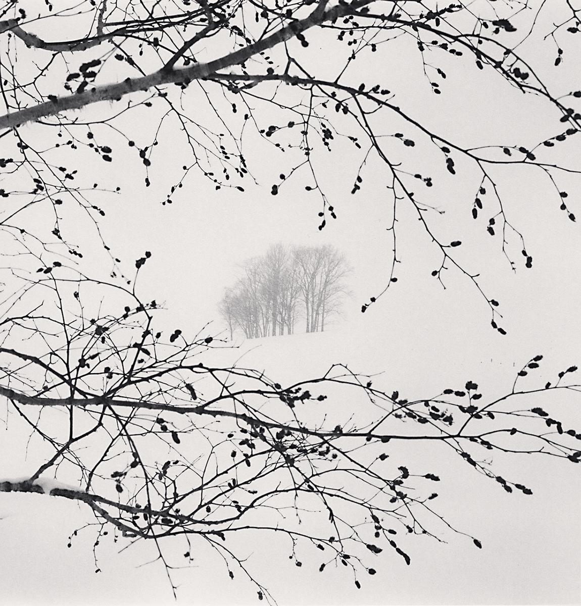 Distant Trees, Sorachi, Hokkaido, Japan by Michael Kenna is a 8 x 7.75 inch* silver gelatin print, available in an edition of 25.
*Please note: the measurements of this print are approximated
This photograph is signed, titled, negative date, print