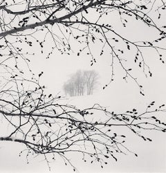 Distant Trees, Sorachi, Hokkaido, Japan by Michael Kenna, Silver Gelatin Print