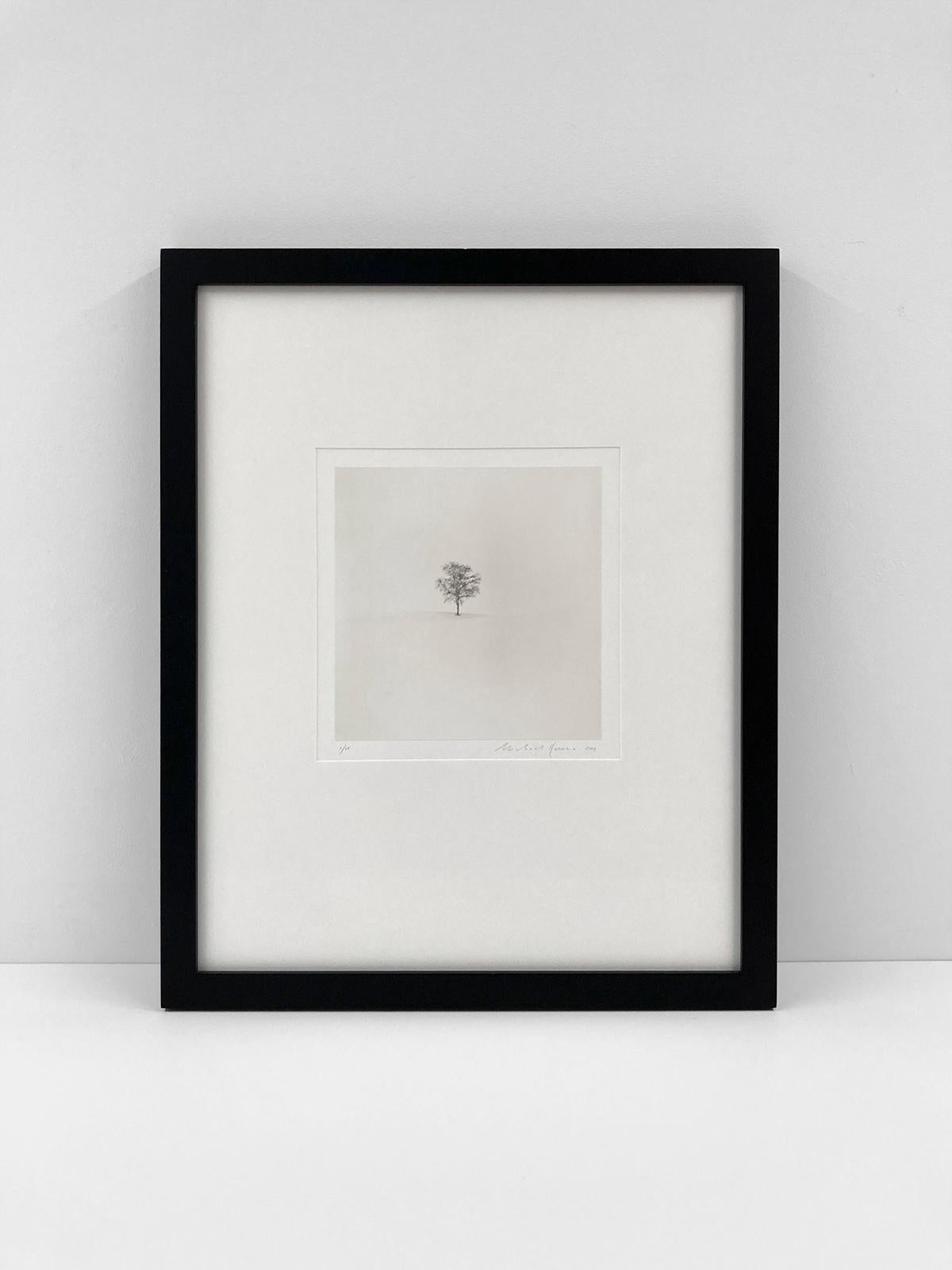 Schneefeld – Print von Michael Kenna