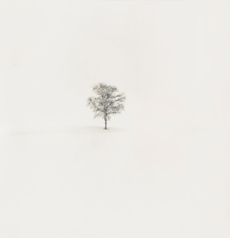 Michael Kenna Landscape Print – Schneefeld