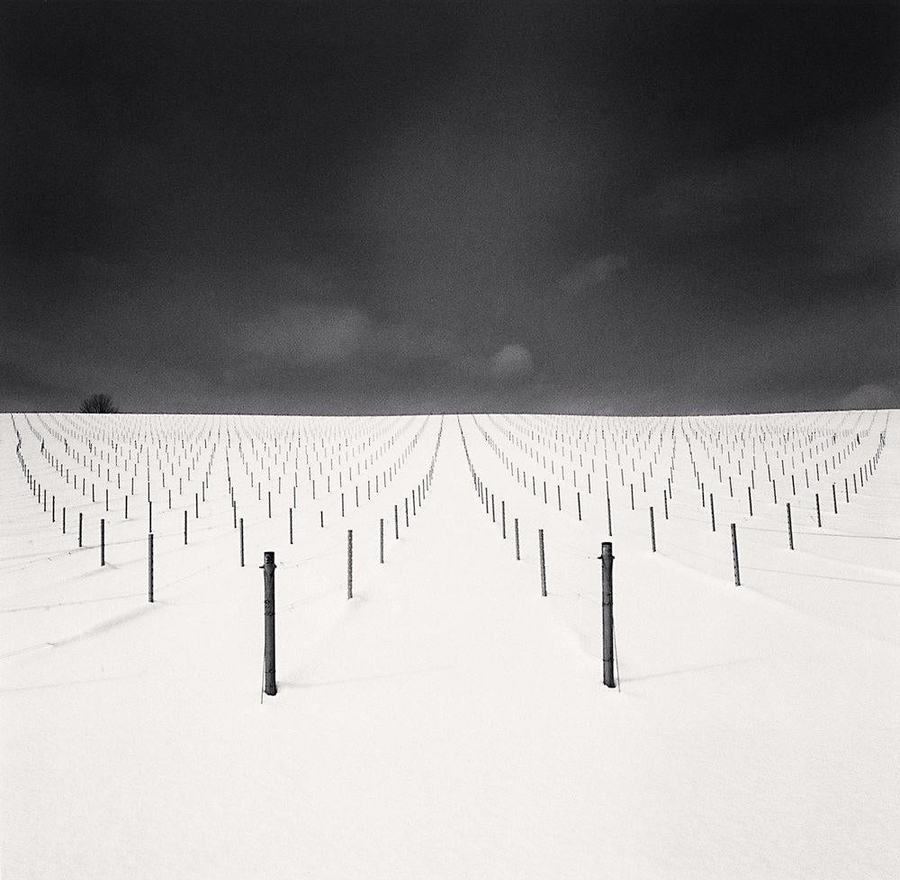 Field of Sticks, Kamikawa Hokkaido, Japan by Michael Kenna is a 8 x 8 inch* silver gelatin print, available in an edition of 25.
*Please note: the measurements of this print are approximated
This photograph is signed, titled, negative date, print