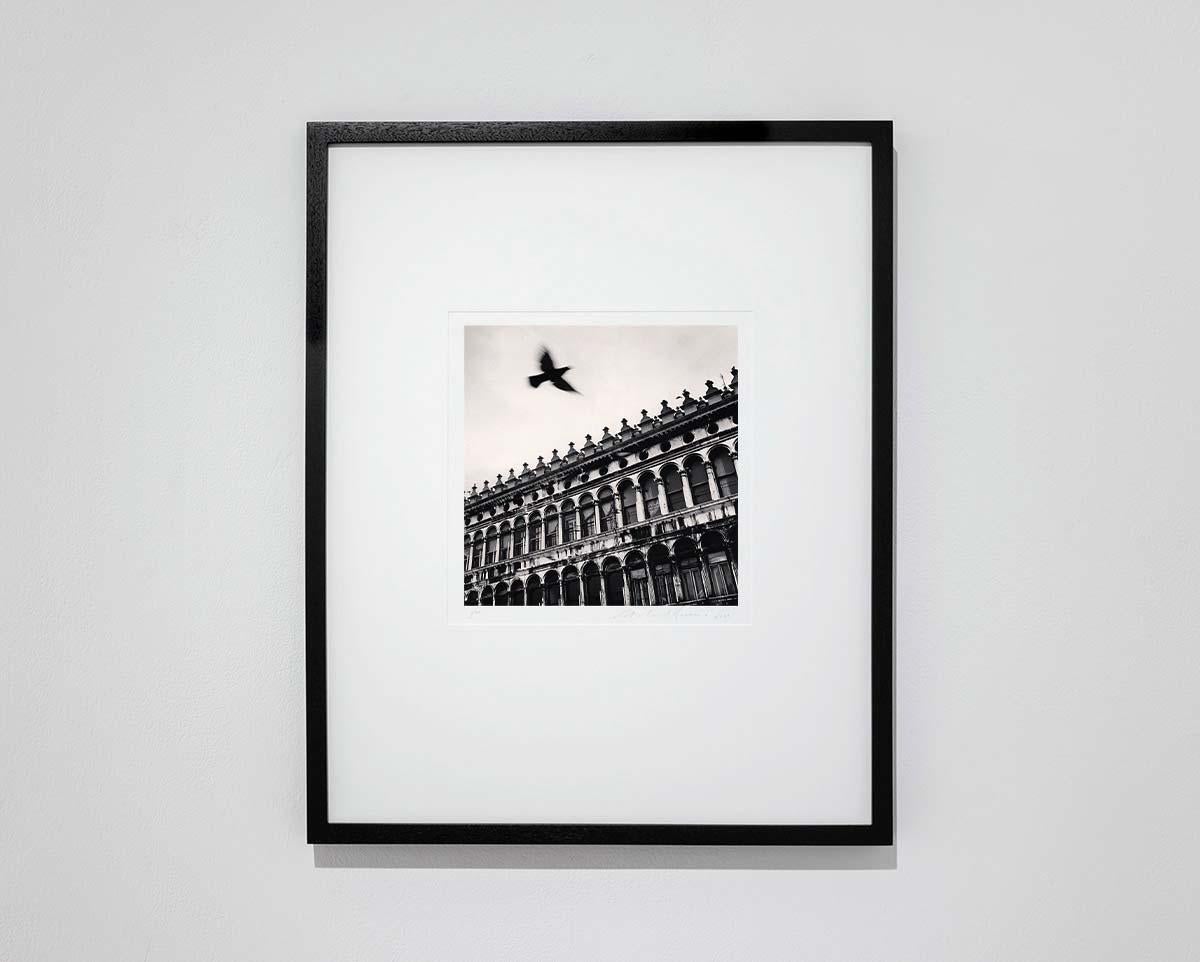 Flying Bird Over San Marco, Venice, Italy - Photograph by Michael Kenna