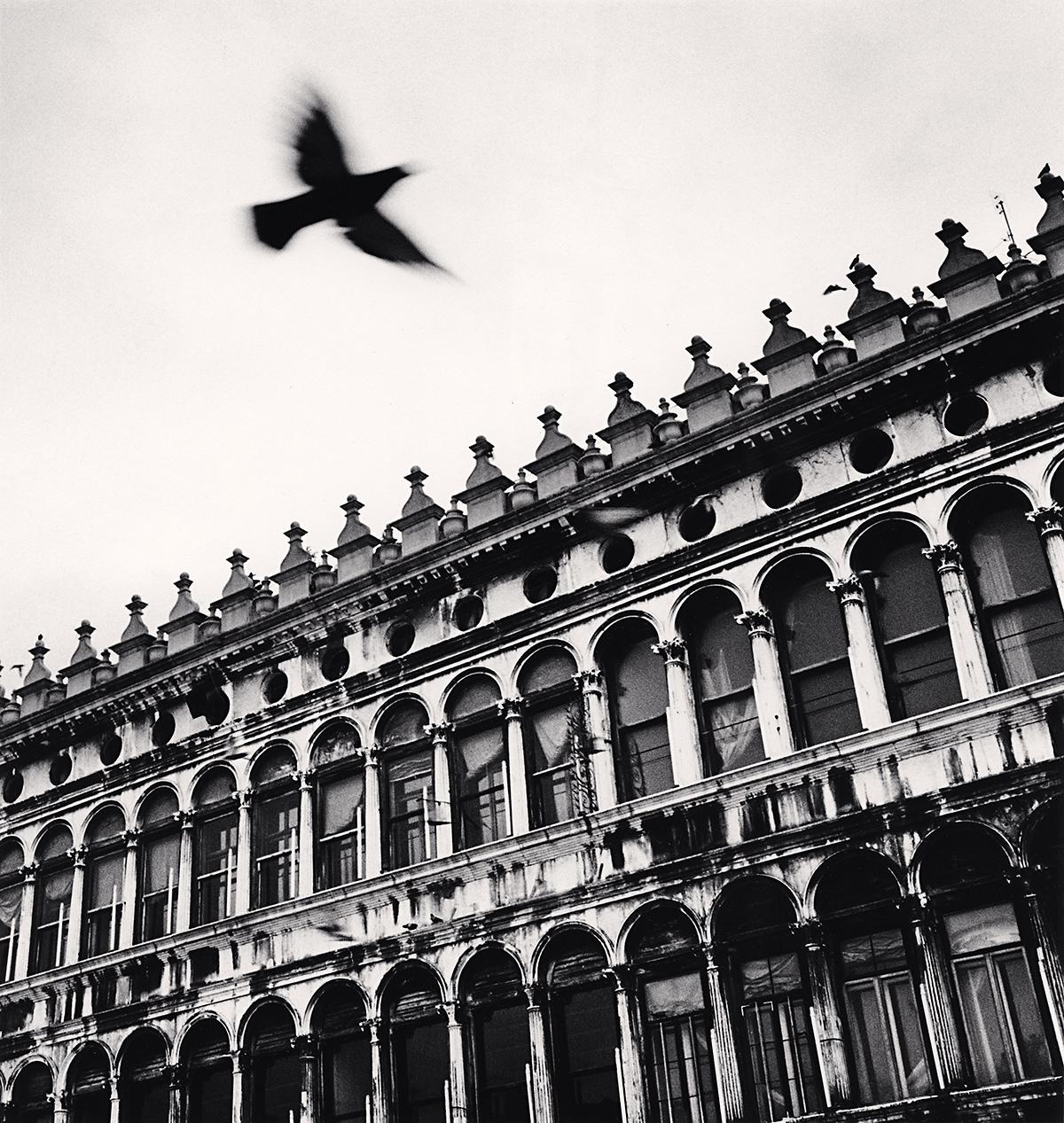 Michael Kenna Black and White Photograph - Flying Bird over San Marco, Venice, Italy