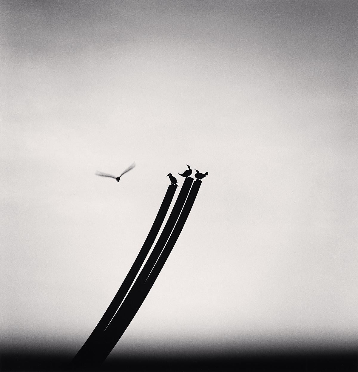 Michael Kenna Black and White Photograph - Four Birds, St. Nazaire, France 