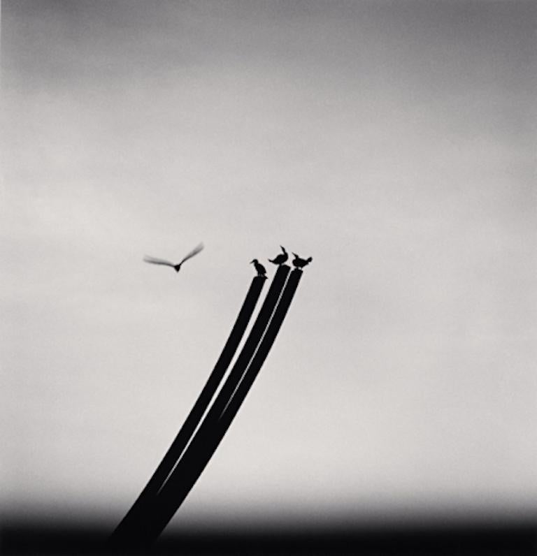 Michael Kenna Black and White Photograph - Four Birds, St. Nazaire, France