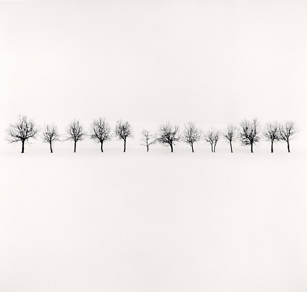 Michael Kenna Black and White Photograph - Fourteen Trees, Higashikawa, Hokkaido, Japan 