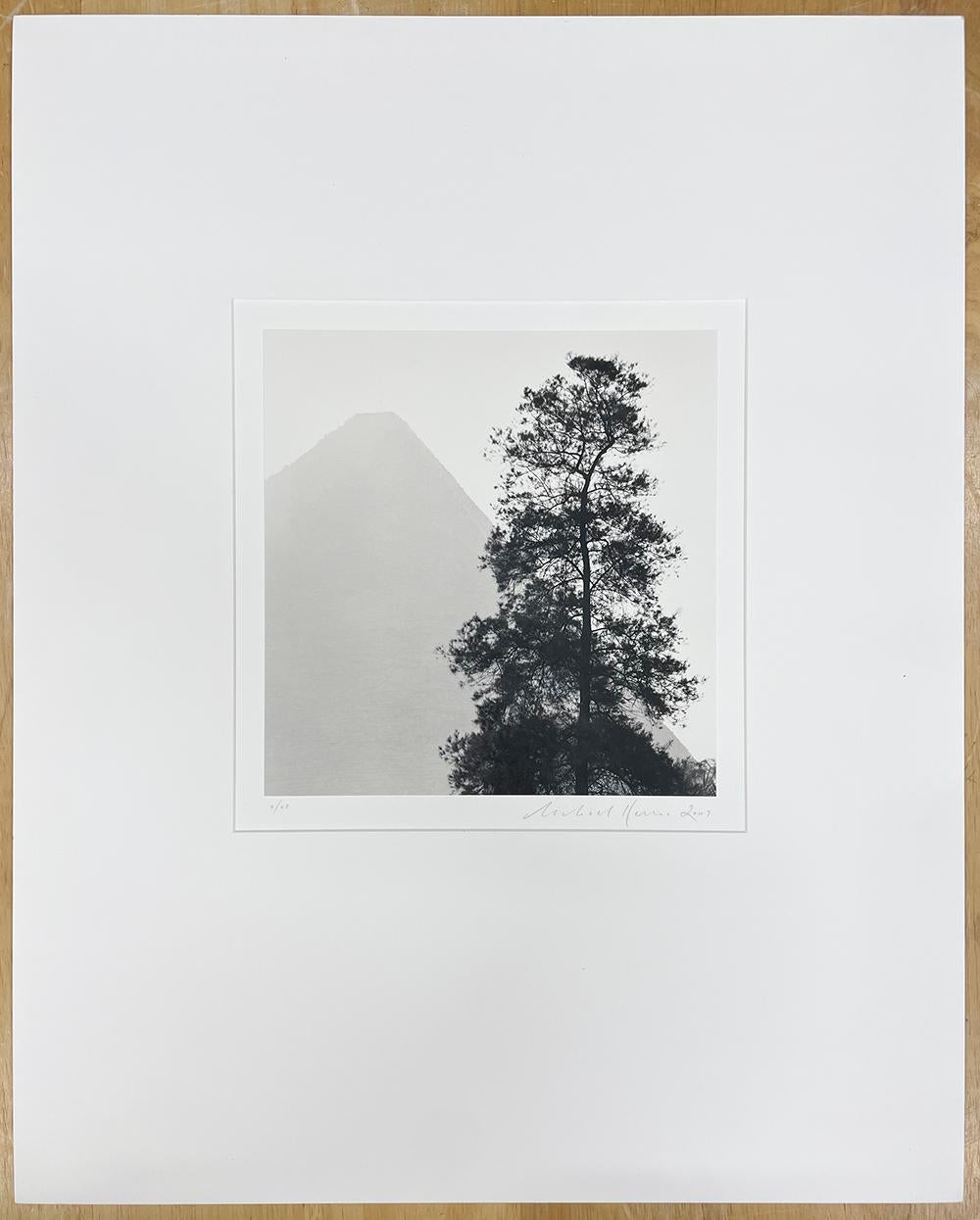 Giza Pyramids, Study 4, Cario, Egypt by Michael Kenna, 2009 For Sale 1