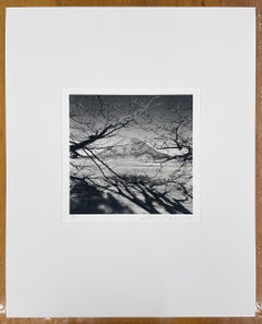 Haruna Fuji, Gunma, Honshu, Giappone, 2024 - Paesaggio, montagna, albero