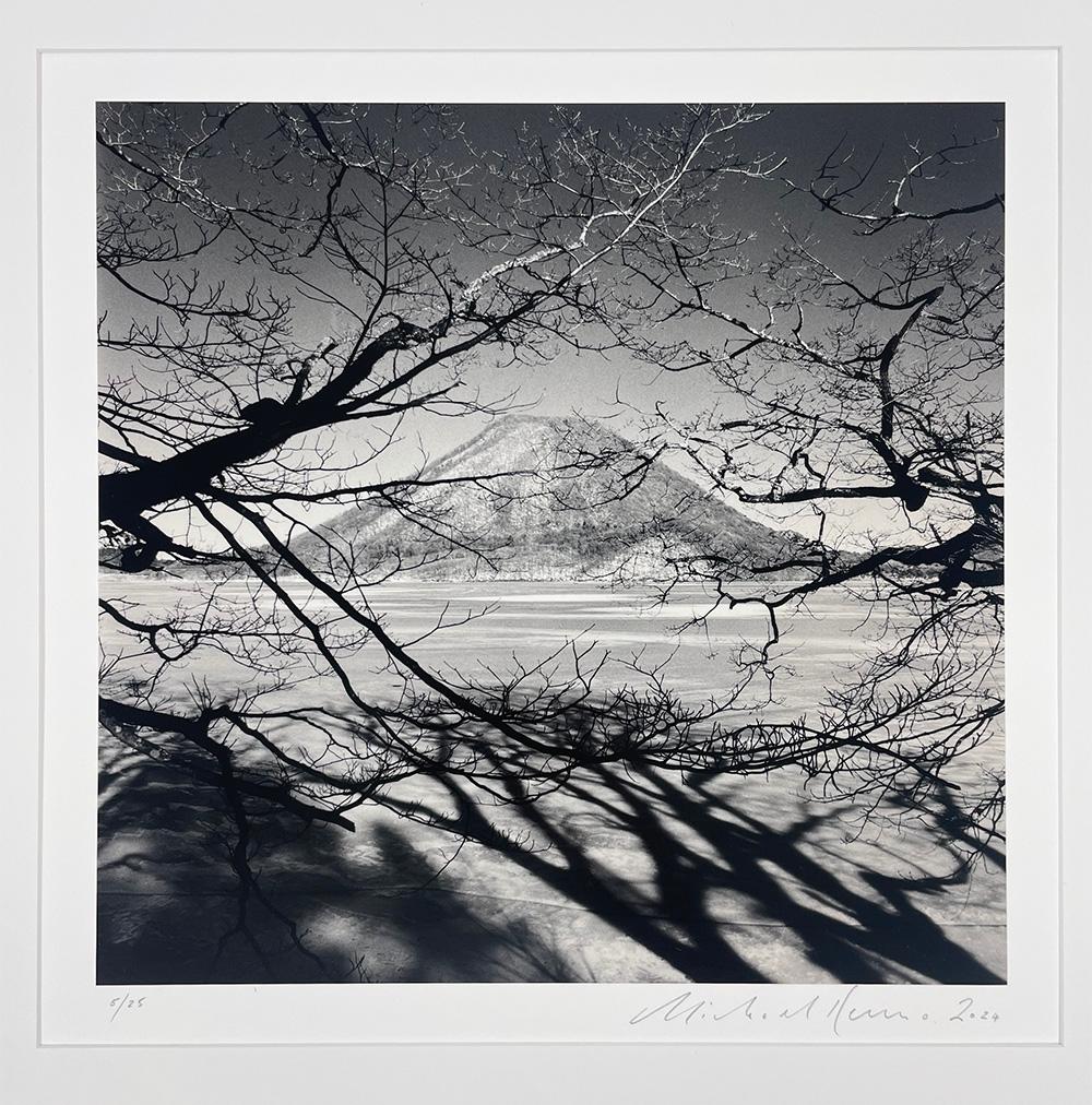 Haruna Fuji, Gunma, Honshu, Giappone, 2024 - Paesaggio, montagna, albero - Photograph Contemporaneo di Michael Kenna