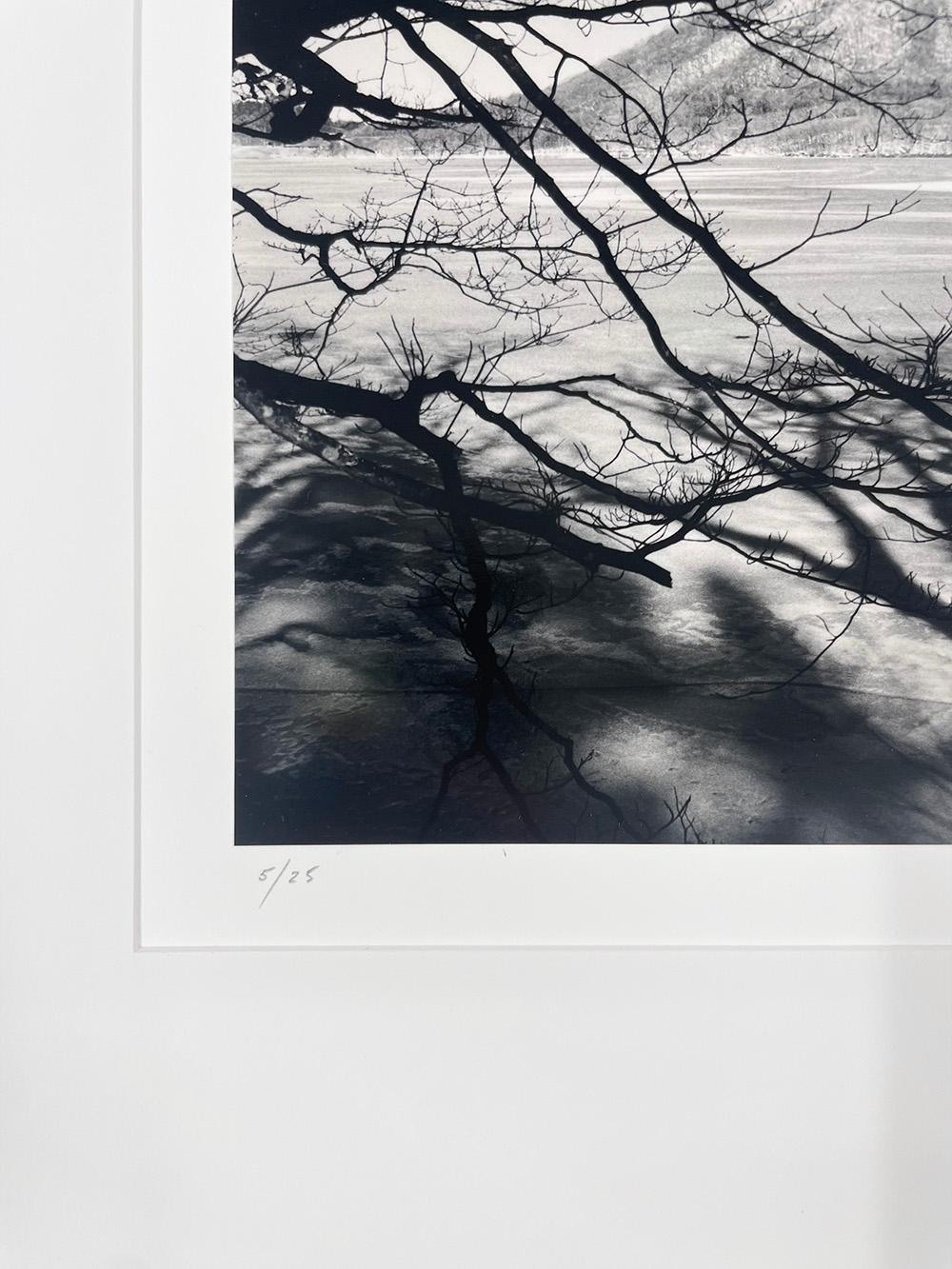 Haruna Fuji, Gunma, Honshu, Giappone, 2024 - Paesaggio, montagna, albero - Landscape Photograph Nero di Michael Kenna
