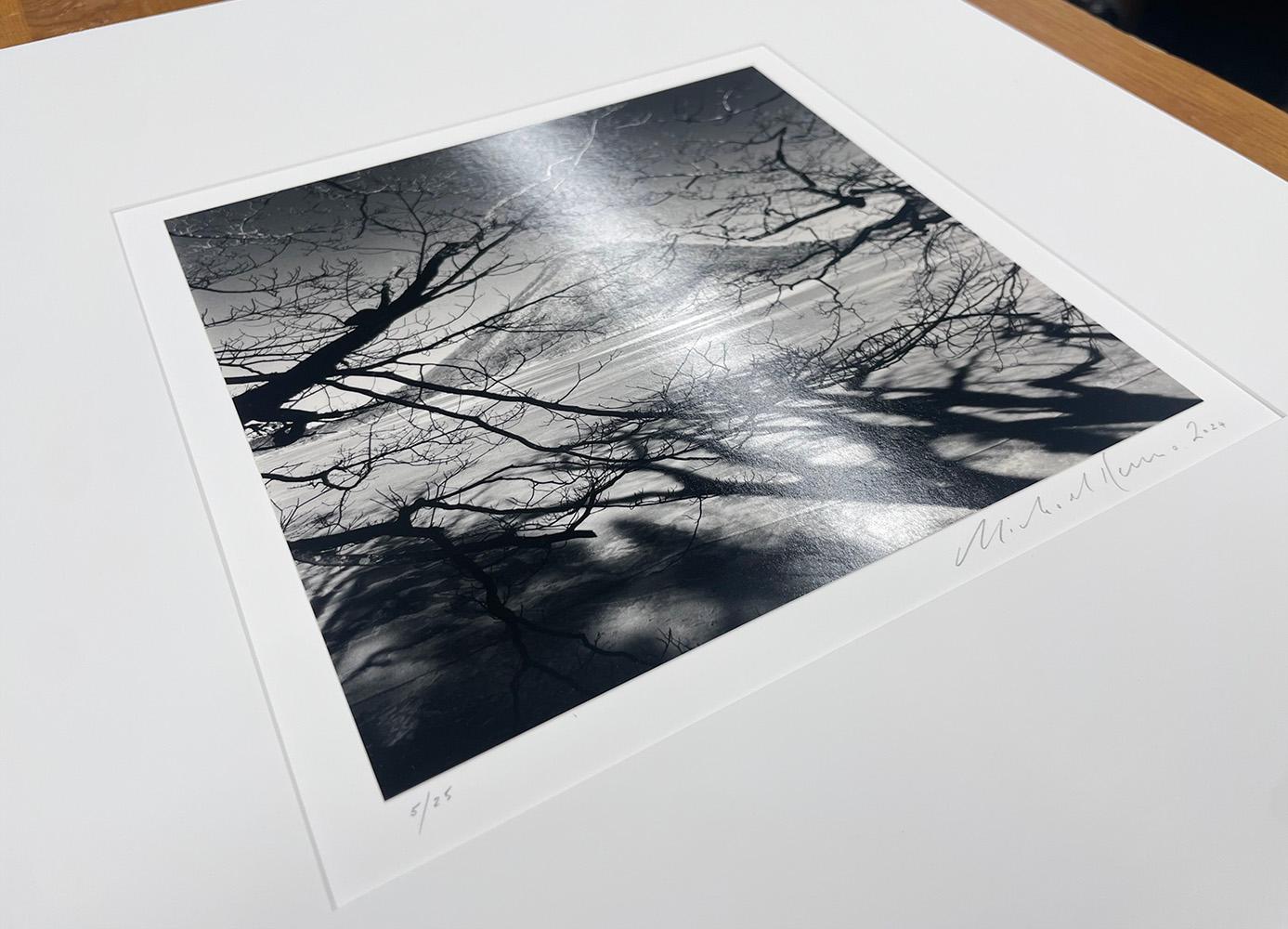 Haruna Fuji, Gunma, Honshu, Giappone, 2024 - Paesaggio, montagna, albero in vendita 1
