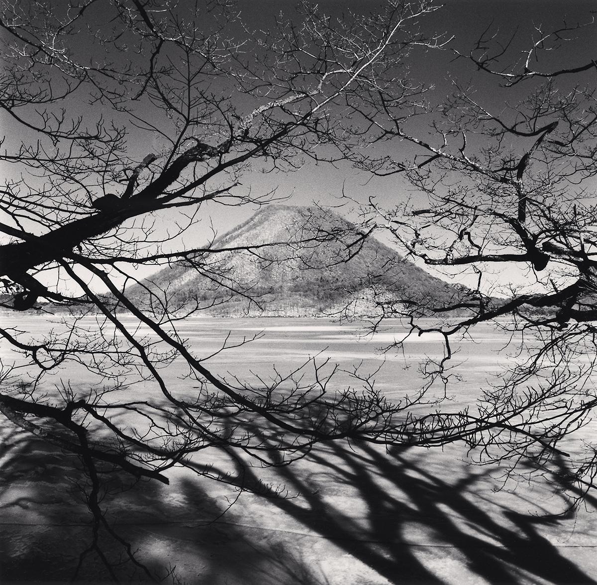 Landscape Photograph di Michael Kenna - Haruna Fuji, Gunma, Honshu, Giappone, 2024 - Paesaggio, montagna, albero