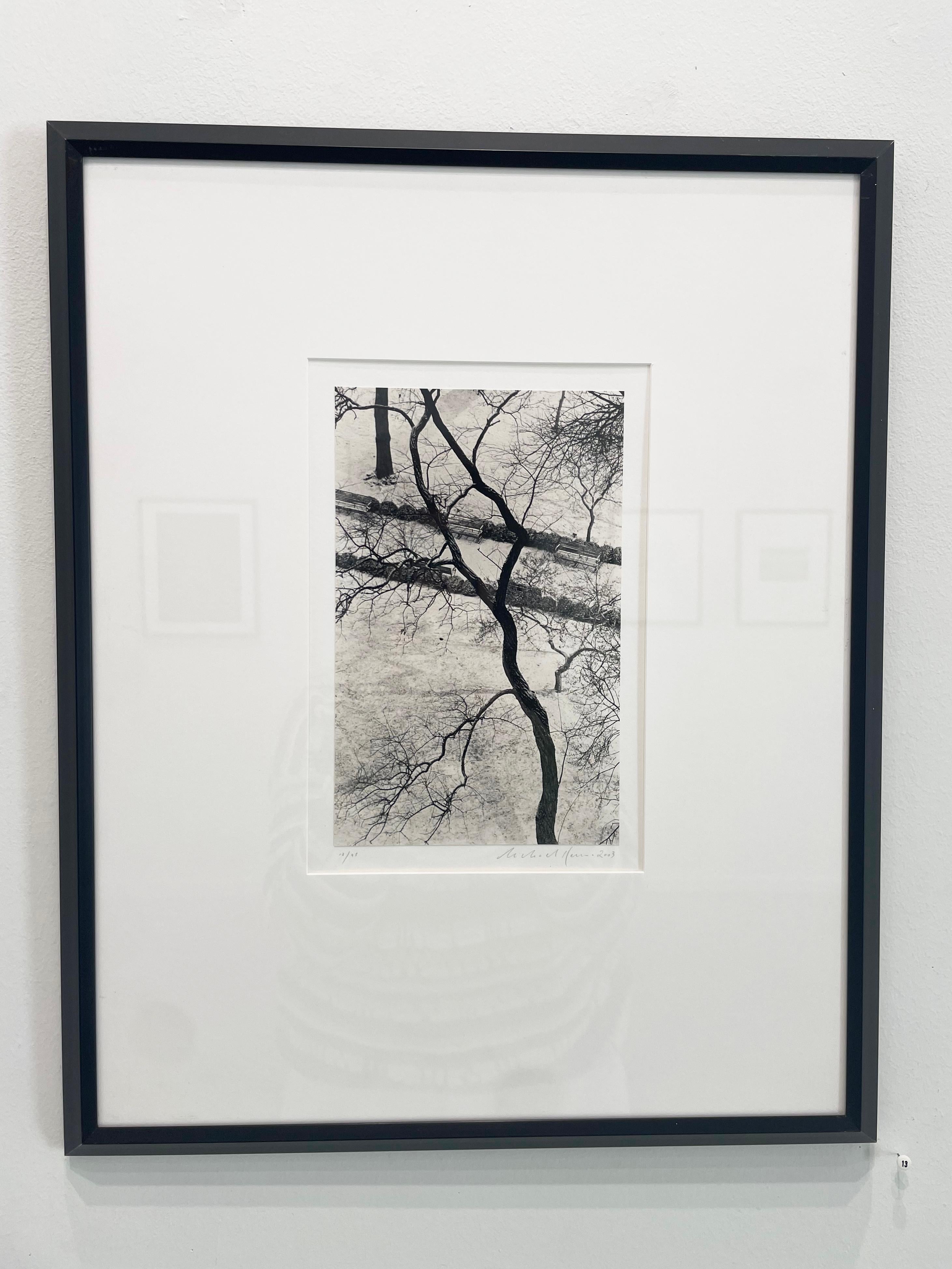 Homage to Kertesz, Gramercy Park, New York, New York, USA by Michael Kenna For Sale 3