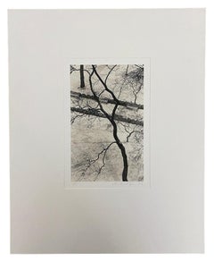 Homage to Kertesz, Gramercy Park, New York, New York, USA by Michael Kenna