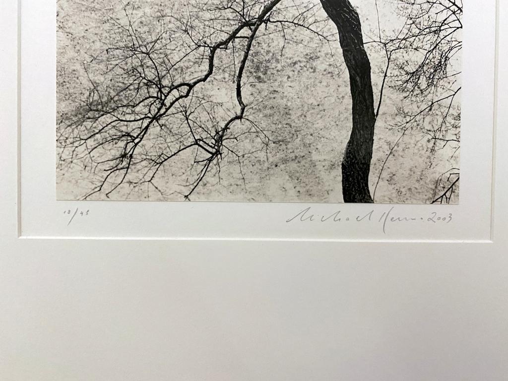 Homage to Kertesz, Gramercy Park, New York, New York, USA by Michael Kenna presents a tranquil winter scene. A barren tree cuts diagonally through the scene. Behind the tree is a snow covered landscape, with three park benches also blanketed in