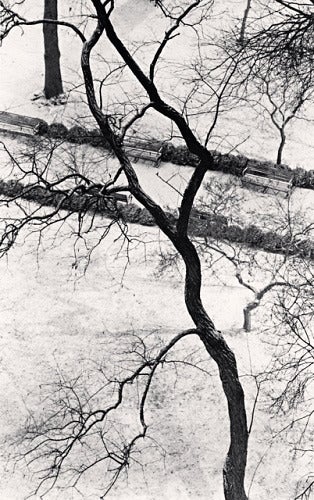 Hommage an Kertesz, Gramercy Park, New York, New York, USA von Michael Kenna zeigt eine ruhige Winterlandschaft. Ein kahler Baum schneidet diagonal durch die Szene. Hinter dem Baum befindet sich eine schneebedeckte Landschaft mit drei Parkbänken,