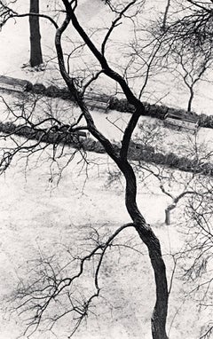 Omaggio a Kertesz, Gramercy Park, New York, New York, USA di Michael Kenna