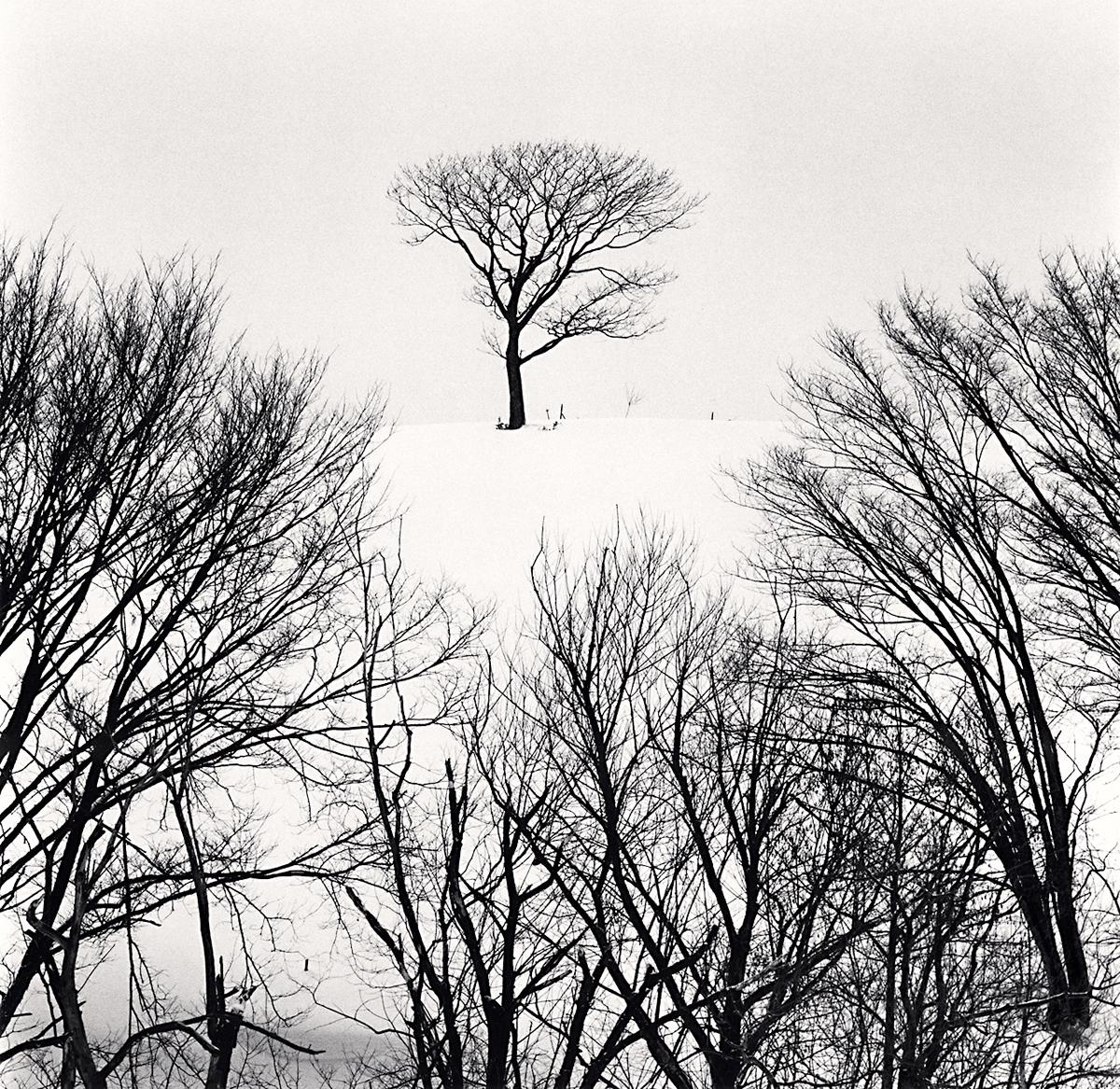 Hurep Hill Trees, Esashi, Hokkaido, Japan von Michael Kenna ist ein 8 x 8 inch* Silbergelatineabzug, erhältlich in einer Auflage von 25 Stück.
*Bitte beachten Sie: Die Maße dieses Drucks sind ungefähre Angaben.
Diese Fotografie ist von Michael Kenna