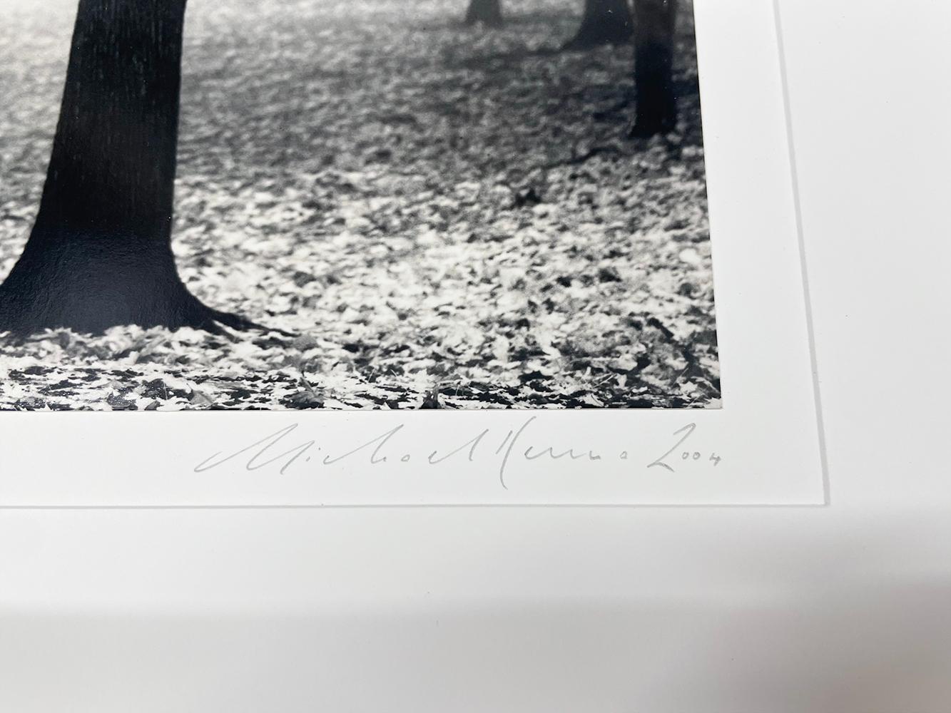 Irving Park Tree, Study 2, Portland, Oregon, USA by Michael Kenna presents a sublime scene. A single tree stands alone in the park, framed by the bright leaves on the tree and scattered on the ground. More trees are seen in the distance, slightly