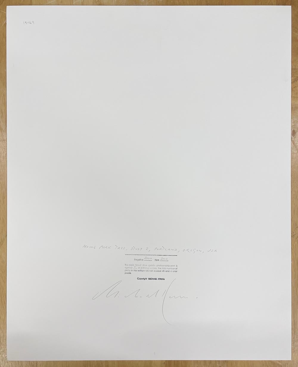 Irving Park Tree, Study 2, Portland, Oregon, USA by Michael Kenna, 2004 For Sale 2