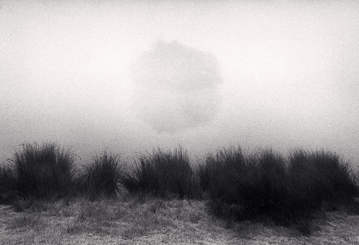 Michael Kenna Landscape Photograph – Island Island, Richmond Park, Surrey, England