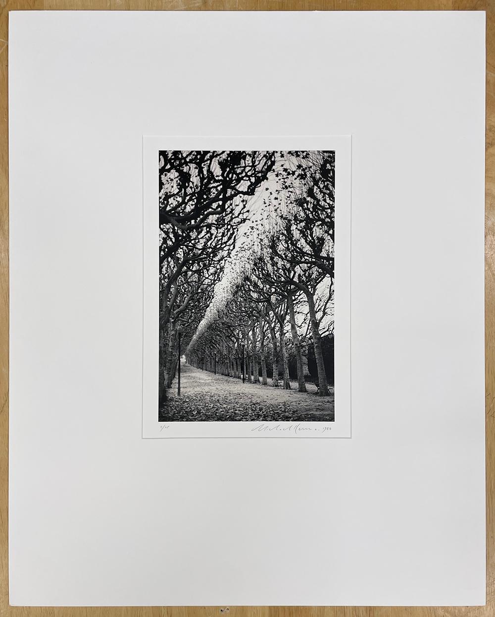 Jardin des Plantes, Studio 1, Parigi, Francia di Michael Kenna, 1988 in vendita 1